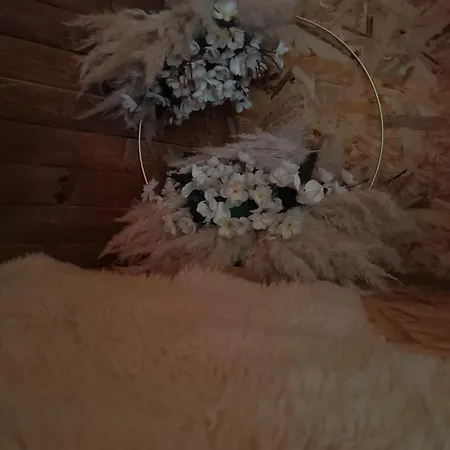 アパート Pyramid Valley