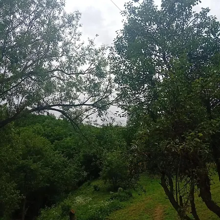 Pyramid Valley *